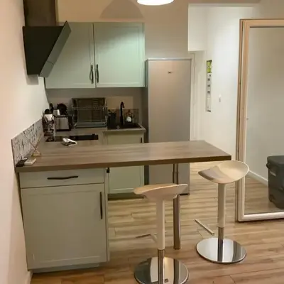 appartement palmiers 2 pieces