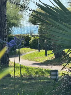 Paysage naturel près de l'appartement