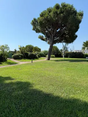 Golf sur le terrain de l'appartement ou à proximité