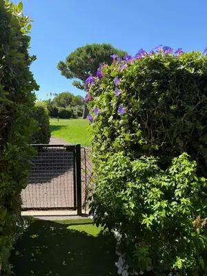 Jardin de l'établissement Maradiva Studio