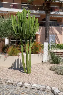 Jardin de l'établissement T2 - Residence avec piscine garage et tennis