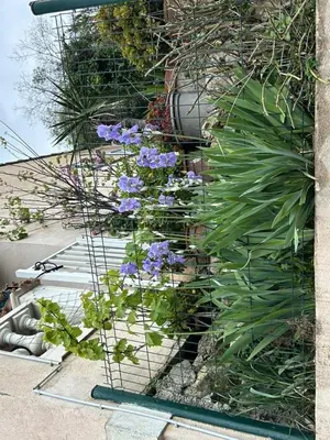 Jardin de l'établissement Family Villa SMB