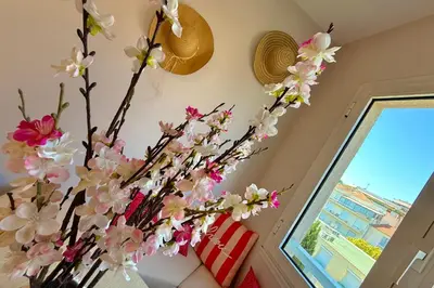 Plan de l'établissement Studio Vieil Antibes Tout confort & décoration soignée