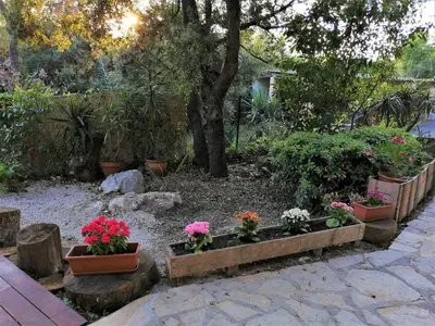 Jardin de l'établissement Studio Détente avec Terrasse