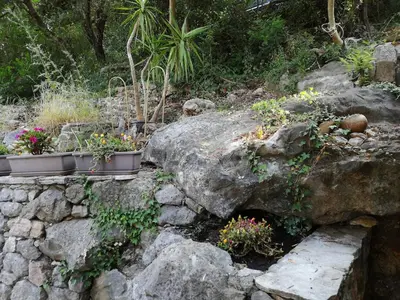 Jardin de l'établissement Studio Détente avec Terrasse