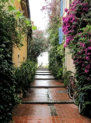 Jardin de l'établissement Appartement lumineux vue mer calme au cœur du viel Antibes clim neuve