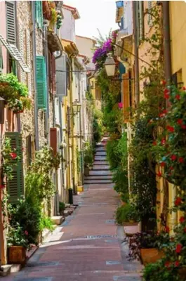 Quartier de l'appartement ou autre quartier proche