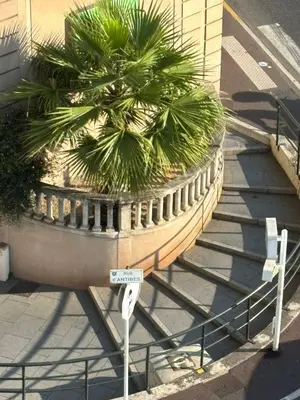 Plan de l'établissement Le fragonnard cannes