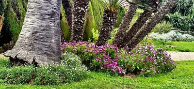 Jardin de l'établissement Villa de charme, vue sur mer