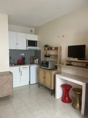 Cuisine ou kitchenette dans l'établissement Studio Antibes Carre d or