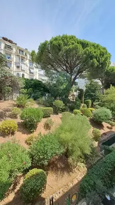 Jardin de l'établissement Beau studio centre Cannes Maréchal Juin