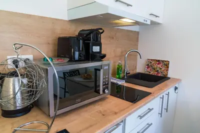 Cuisine ou kitchenette dans l'établissement Studette Croisette, proche Martinez