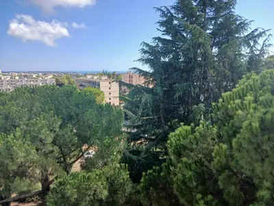 Paysage naturel près de l'appartement