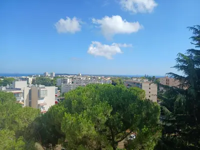 Paysage naturel près de l'appartement