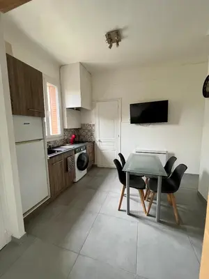 Cuisine ou kitchenette dans l'établissement Appartement Le Central Park