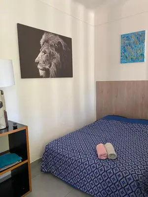 Un ou plusieurs lits dans un hébergement de l'établissement Appartement Le Central Park