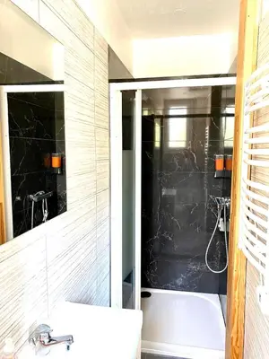 Salle de bains dans l'établissement Appartement Le Central Park