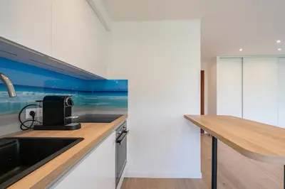Cuisine ou kitchenette dans l'établissement Beautiful studio with balcony in Cannes