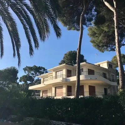 Palmiers et pins face à la mer dans une Villa classée du Cap d Antibes