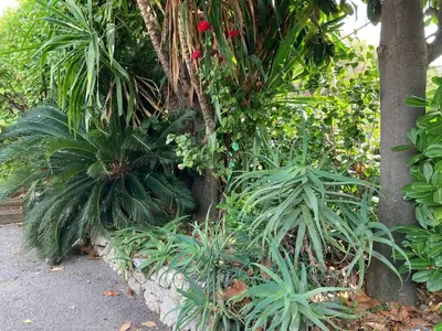 Jardin de l'établissement Beautiful Villa, 8p, comfort, quiet, beaches and center