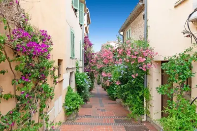 Jardin de l'établissement Fabulous old-town house, Vue Mer Terrasse, Philomer, 3 appartements