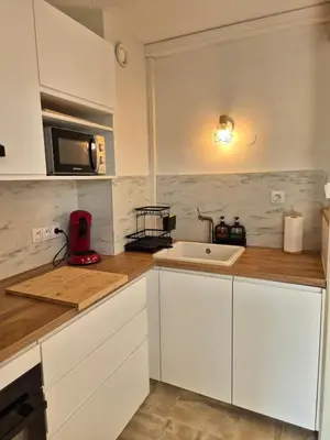 Cuisine ou kitchenette dans l'établissement Studio avec jardin à Villeneuve-Loubet
