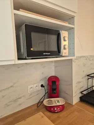 Cuisine ou kitchenette dans l'établissement Studio avec jardin à Villeneuve-Loubet