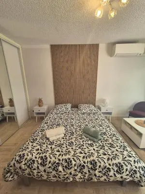 Un ou plusieurs lits dans un hébergement de l'établissement Studio avec jardin à Villeneuve-Loubet