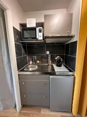 Cuisine ou kitchenette dans l'établissement CANNES La Mirandole