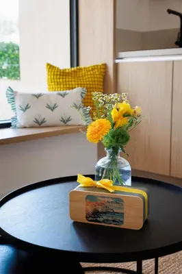 Plan de l'établissement Suite Cigale Jaune avec terrasse et piscine à Antibes