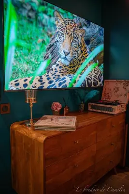 Télévision ou salle de divertissement dans l'établissement Le Boudoir