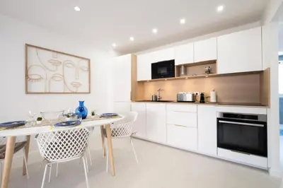 Cuisine ou kitchenette dans l'établissement Résidence 3p De Style à Deux Pas De La Croisette & Commerces - 3P de style à deux pas de la Croisette & commerces MAE-2103