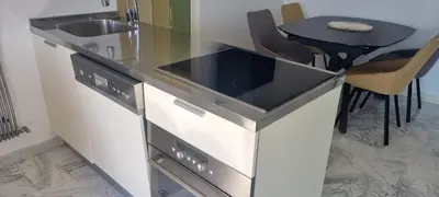 Cuisine ou kitchenette dans l'établissement Magnifique deux pièces Lacour