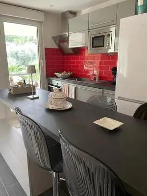 Cuisine ou kitchenette dans l'établissement Appartement au centre de Cannes à deux pas du festival