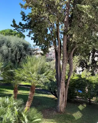 Jardin de l'établissement Appartement au centre de Cannes à deux pas du festival
