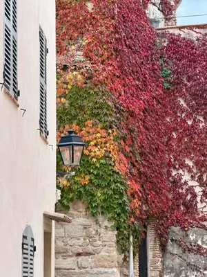 Plan de l'établissement Antibes Old Town Rooftop Sea-View 1BR Apt with Terrace