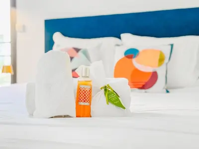 Un ou plusieurs lits dans un hébergement de l'établissement Terranova Cannes Terrace Accommodation