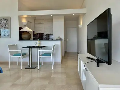 Télévision ou salle de divertissement dans l'établissement Appartement Contemporain 2 Pièces – Villeneuve-Loubet Plage - FR-1-252A-139
