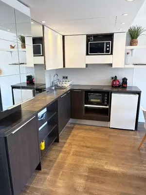 Cuisine ou kitchenette dans l'établissement Cap d Antibes Terrasse climatisation et parking