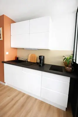 Cuisine ou kitchenette dans l'établissement Appart cosy climatisé Marina Baie des Anges