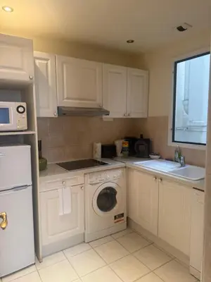 Cuisine ou kitchenette dans l'établissement Premium central Apartment
