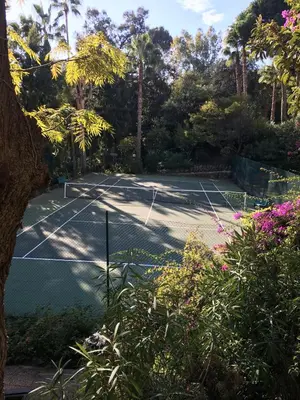 Tennis ou squash au sein de l'appartement ou à proximité