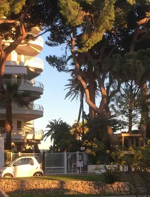 Jardin de l'établissement Le jardin du Palm Beach - domaine de standing