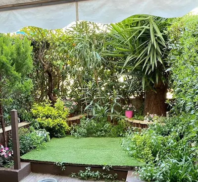 Jardin de l'établissement Le jardin du Palm Beach - domaine de standing