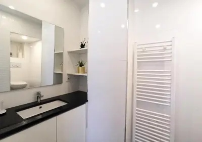 Salle de bains dans l'établissement Lovely and Modern 1 Bedroom City Centre Cannes