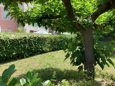 Jardin de l'établissement Zen Attitude Apartment