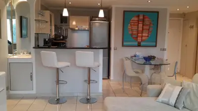 Cuisine ou kitchenette dans l'établissement Elegant Apart in City Centre of Cannes