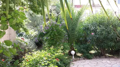 Jardin de l'établissement Central avec Jardin