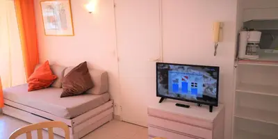 Télévision ou salle de divertissement dans l'établissement Les Pins Bleus