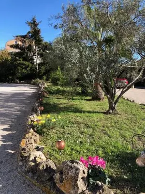 Jardin de l'établissement villa 